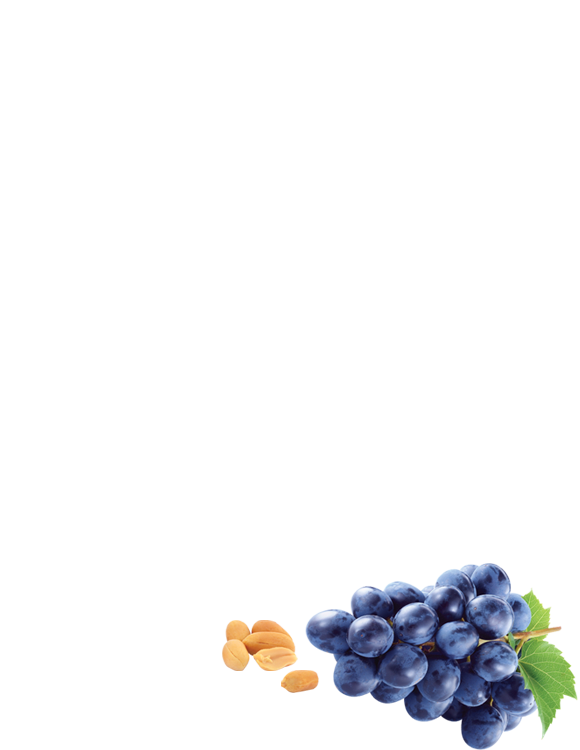 Dragee «Seastones with raisins»