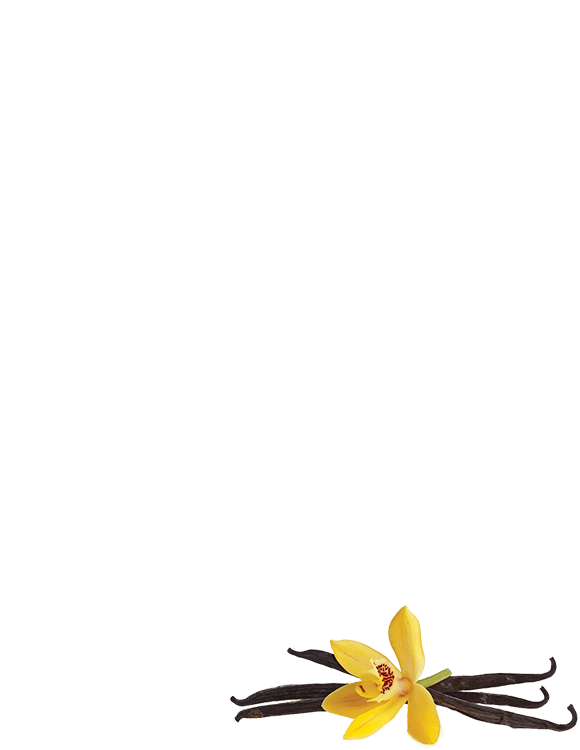 Halva Sunflower Vanilla