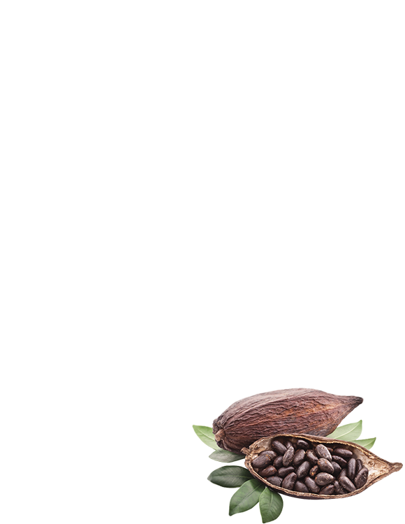 Драже «Ядро соняшникове в какао-порошку»