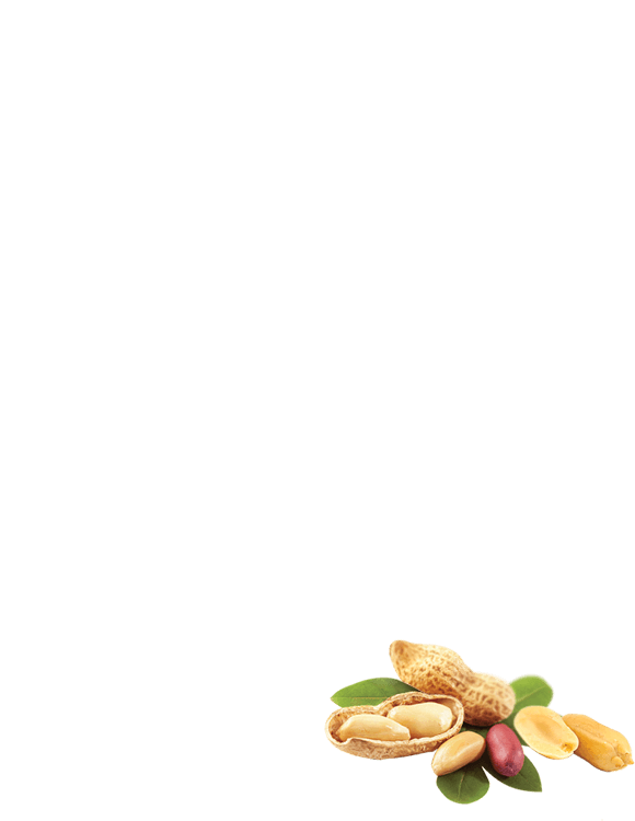 Peanut Brittle in glaze